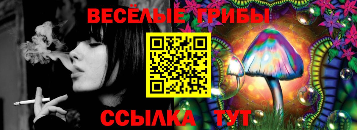 Галлюциногенные грибы GOLDEN TEACHER Новомосковск