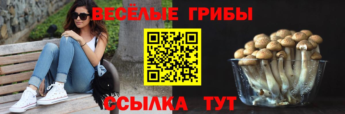 Галлюциногенные грибы ЛСД Новомосковск