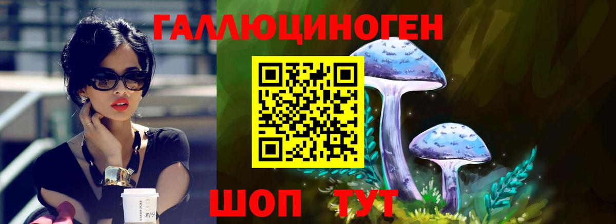 Галлюциногенные грибы мицелий  Псилоцибиновые грибы Cubensis  Новомосковск 