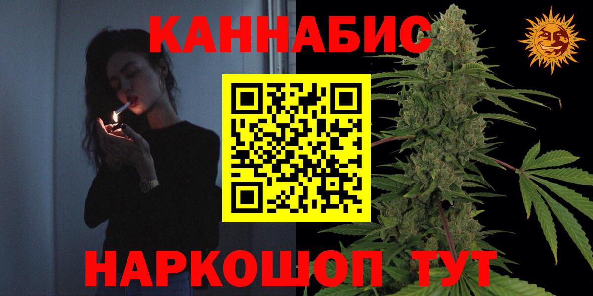 Бошки Шишки план Новомосковск